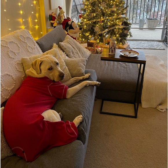 Fab Dog Thermal Pajamas - Picture 6 of 7